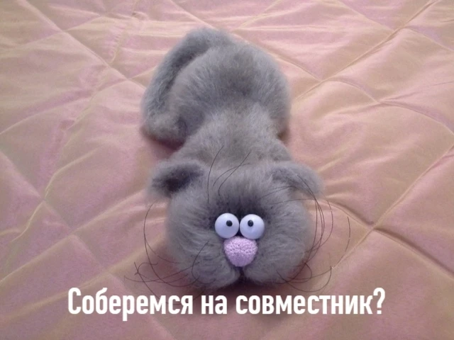 Солнышки мои, в ВК планирую собраться на совместник по коту Шухеру ) На самом деле мне ...