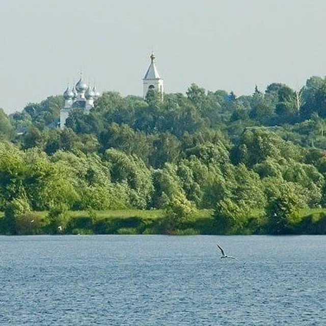 МКУ "ТУ Софьино-Чулково"