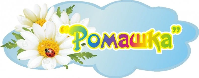МДОУ "Детский сад "Ромашка" с. Алексашкино
