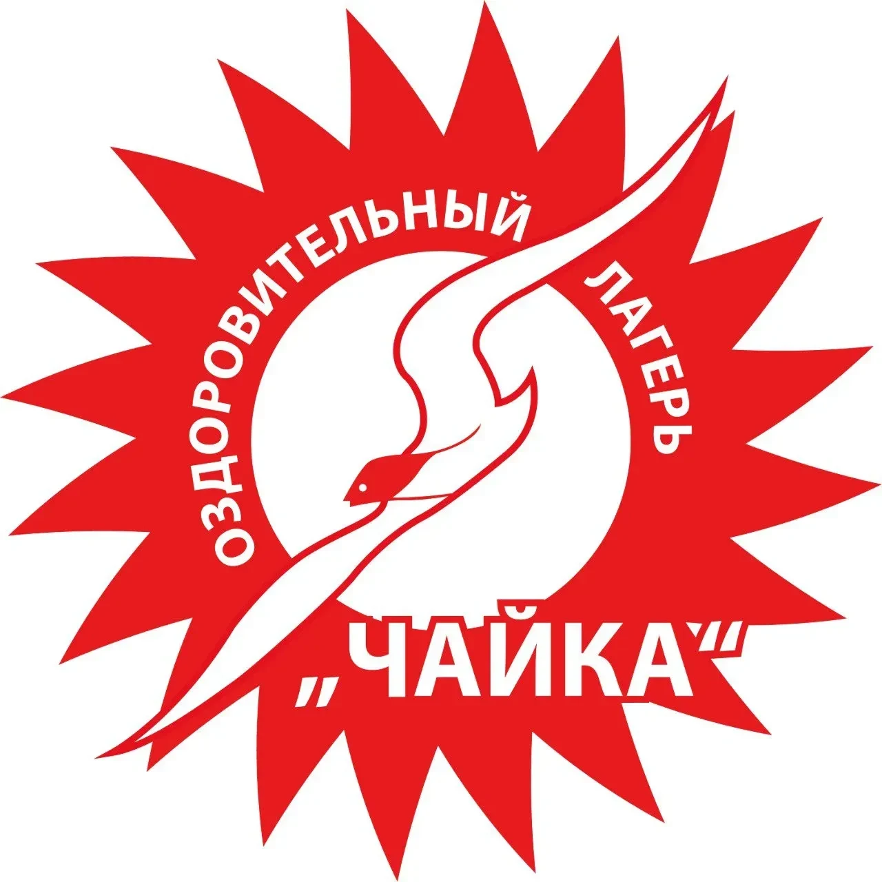 МБУ ДОЛ Чайка Междуреченск
