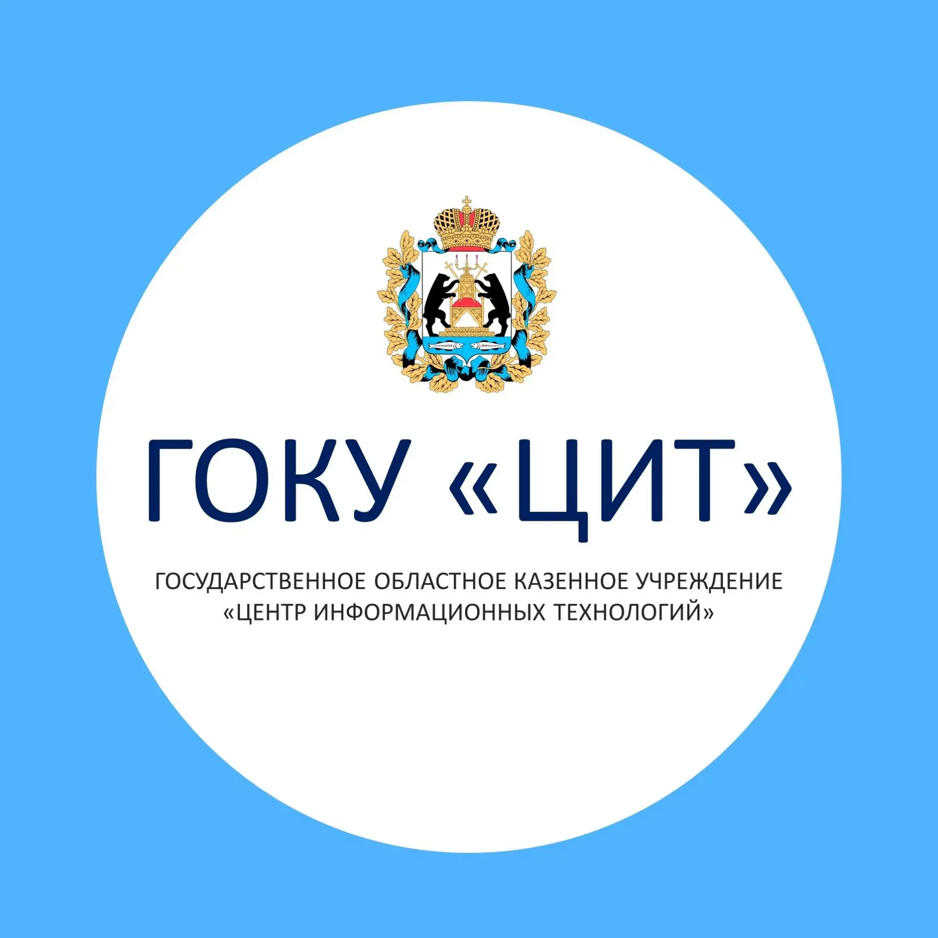 ГОКУ «Центр информационных технологий» Новгородская область