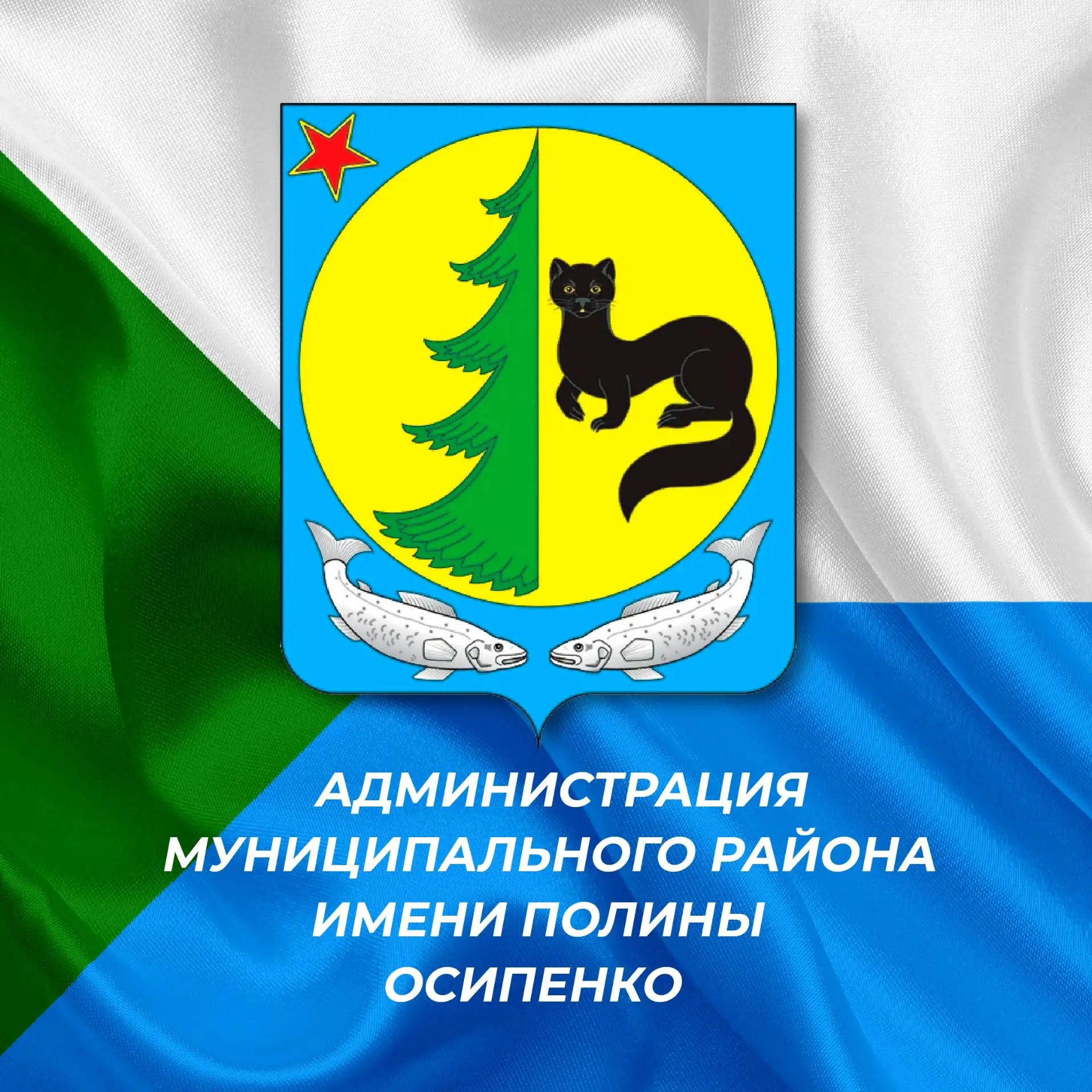 Администрация муниципального района имени Полины Осипенко