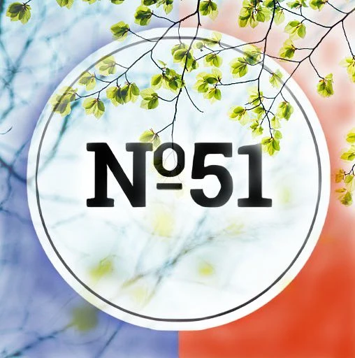 ГБОУ ЛНР "ЛУВК № 51 ИМЕНИ 10-ЛЕТИЯ РЕСПУБЛИКИ!