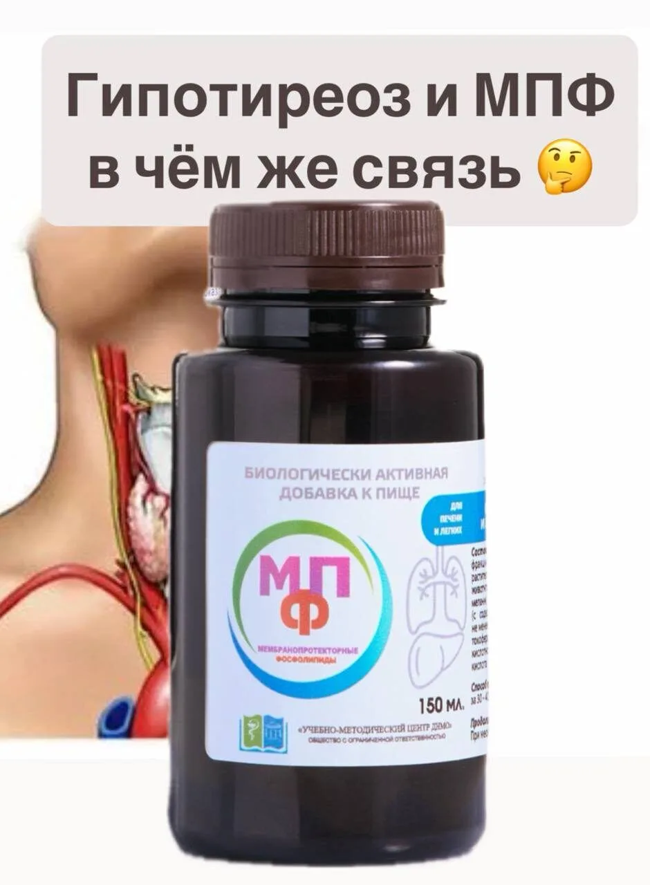 восстанавливает клетки печени и все процессы, протекающие в этом важном органе!