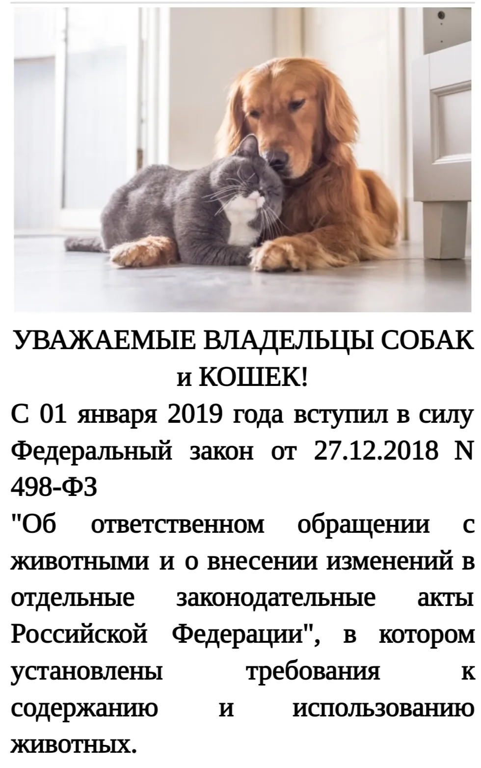 Фото