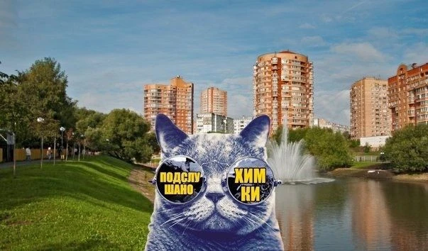 Химки