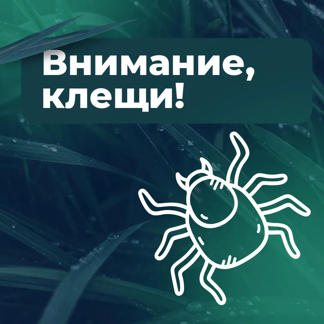 ❗Стоп клещам — будьте осторожны❗
