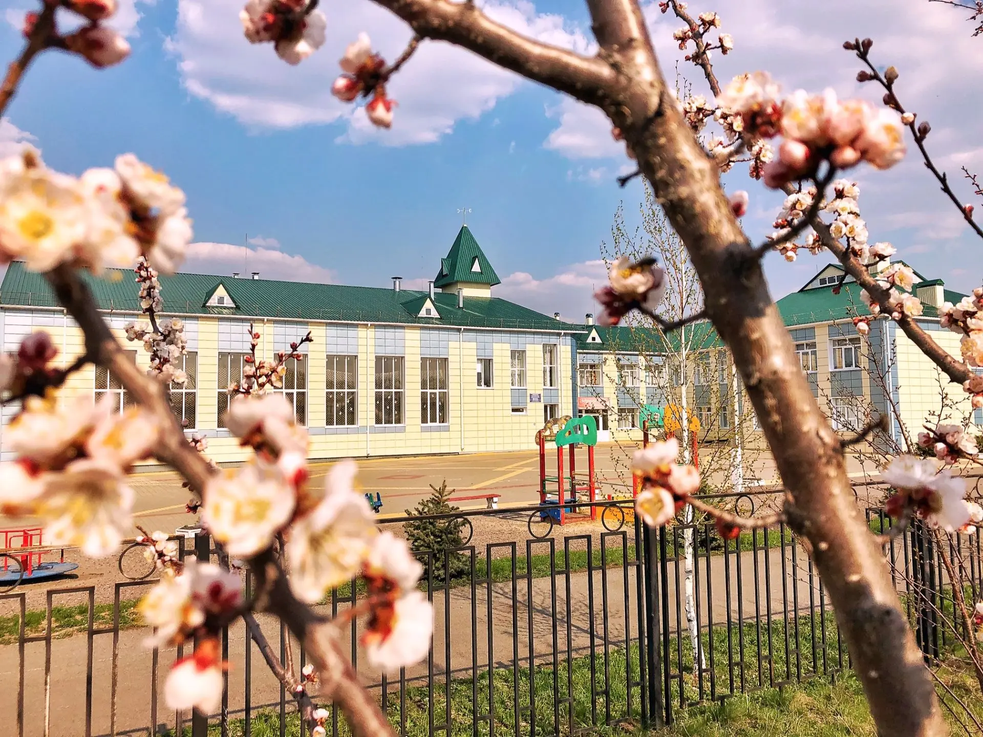 МКОУ "Лозовская СОШ"