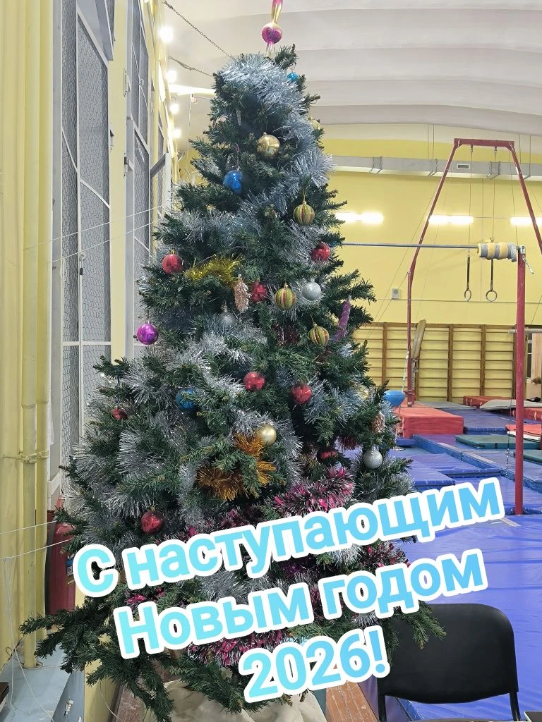 С наступающим Новым 2026 годом! Дорогие спортсмены, тренеры-преподаватели и родители от...