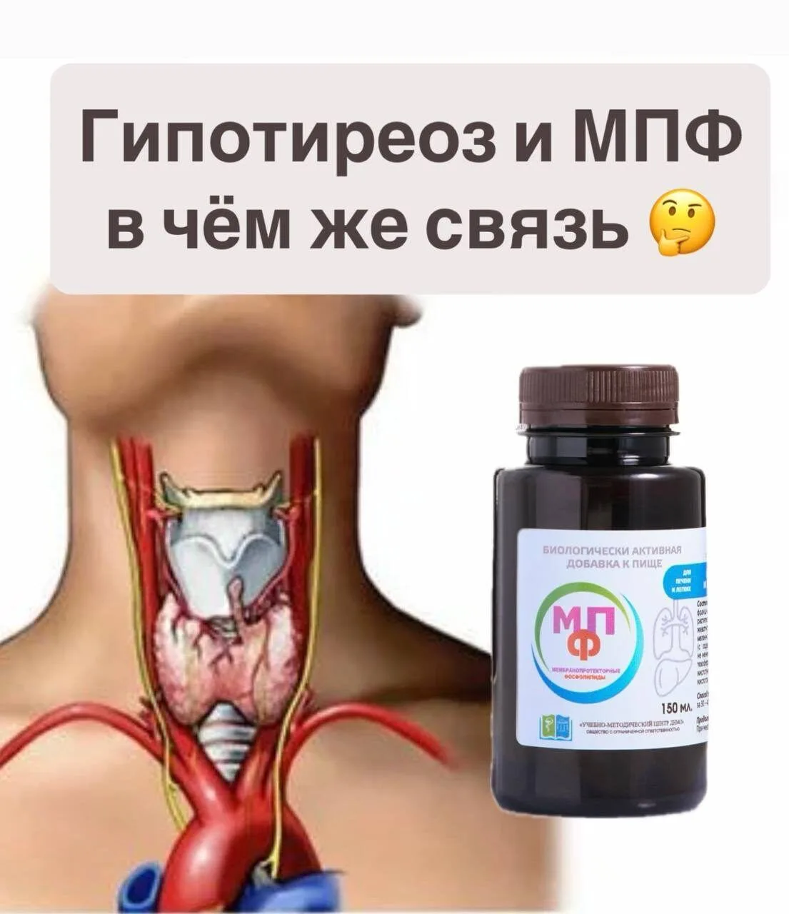 Пьёте гормон щитовидной железы, а анализы не приходят в норму? Или может быть Т4 и в но...