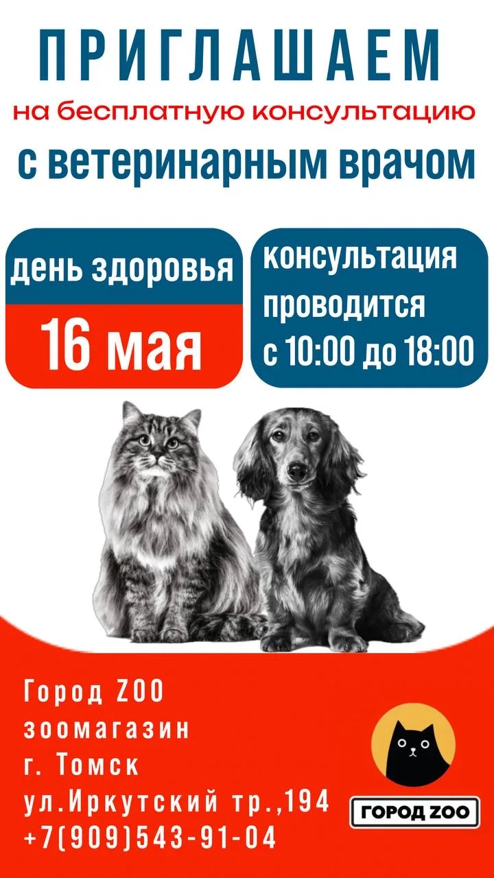 💛🐾 ДЕНЬ ЗДОРОВЬЯ в “Город ZОО” 🐶🐱