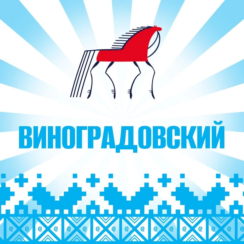 Администрация Виноградовского муниципального округа Архангельской области