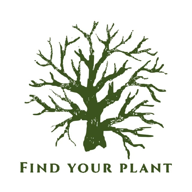 Find Your Plant - Найди своё растение