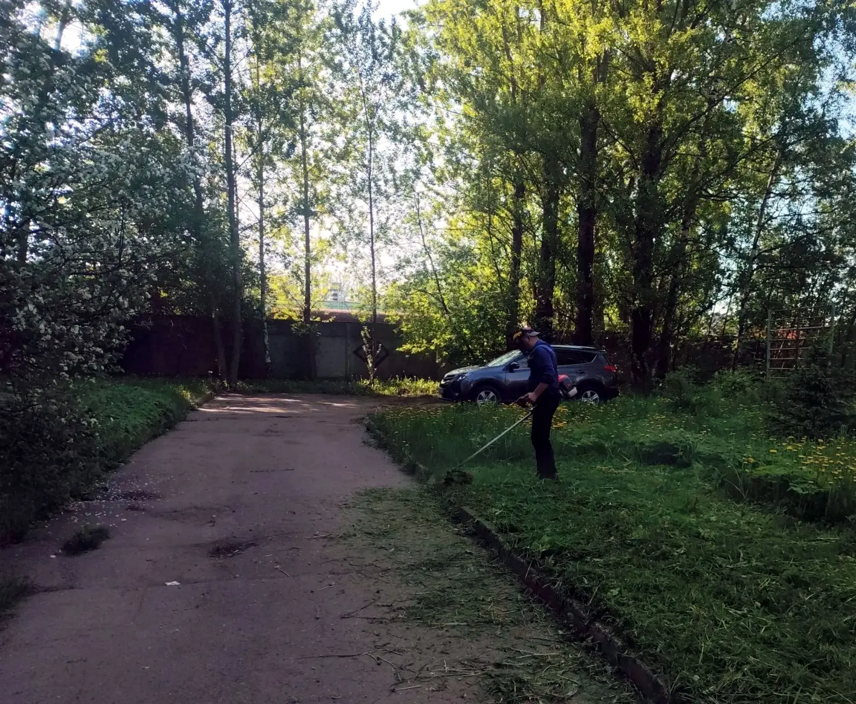 🌱Стартовал сезон покоса
