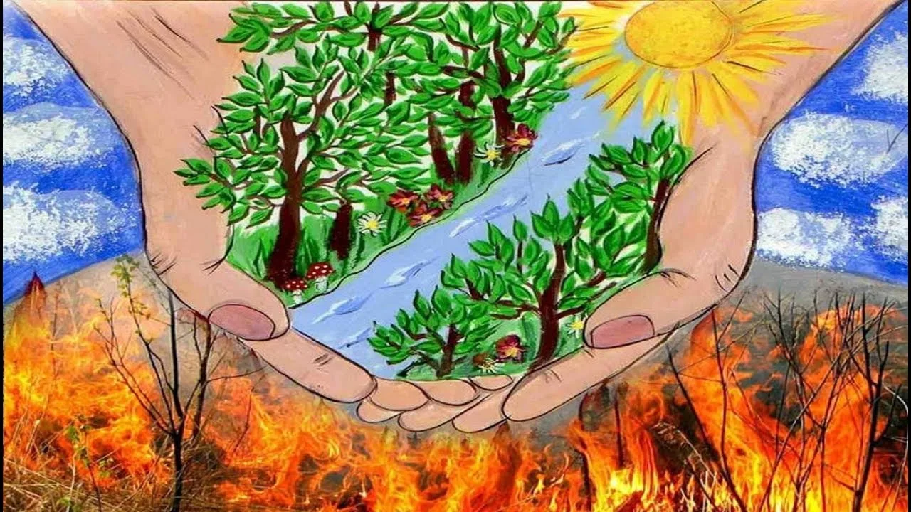 Бурейское лесничество