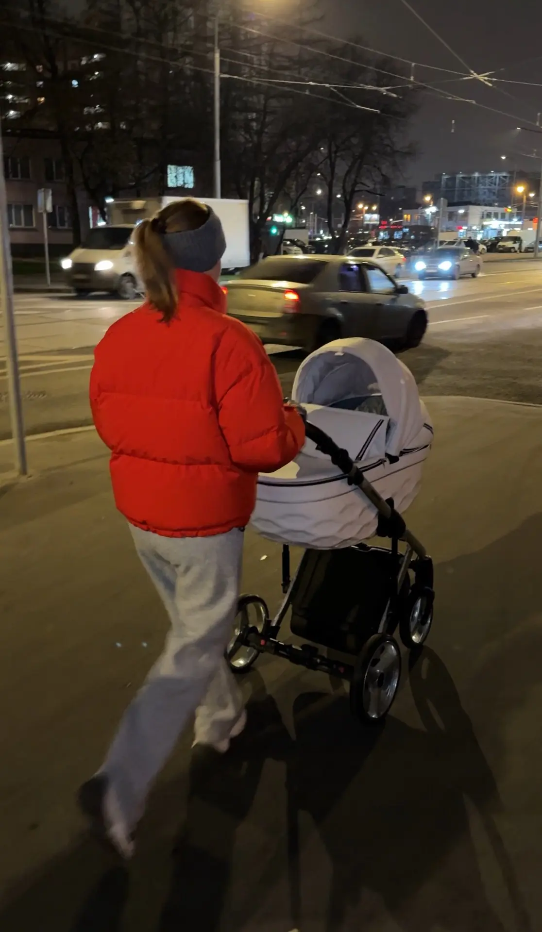 Когда жаловалась мужу, что тебе не с кем гулять и вот теперь у меня всегда есть компани...