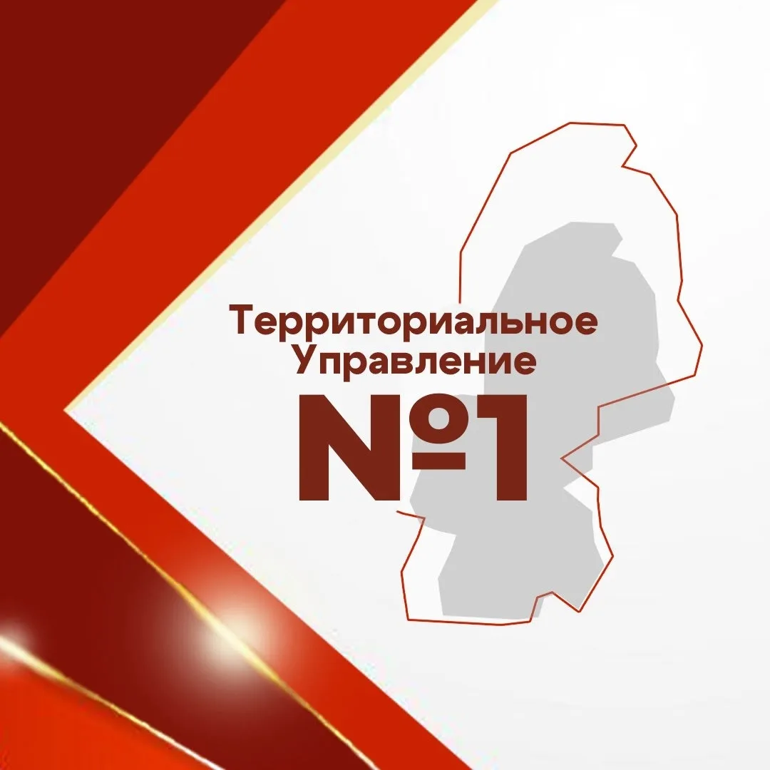 Территориальное управление №1 Красноармейского МО