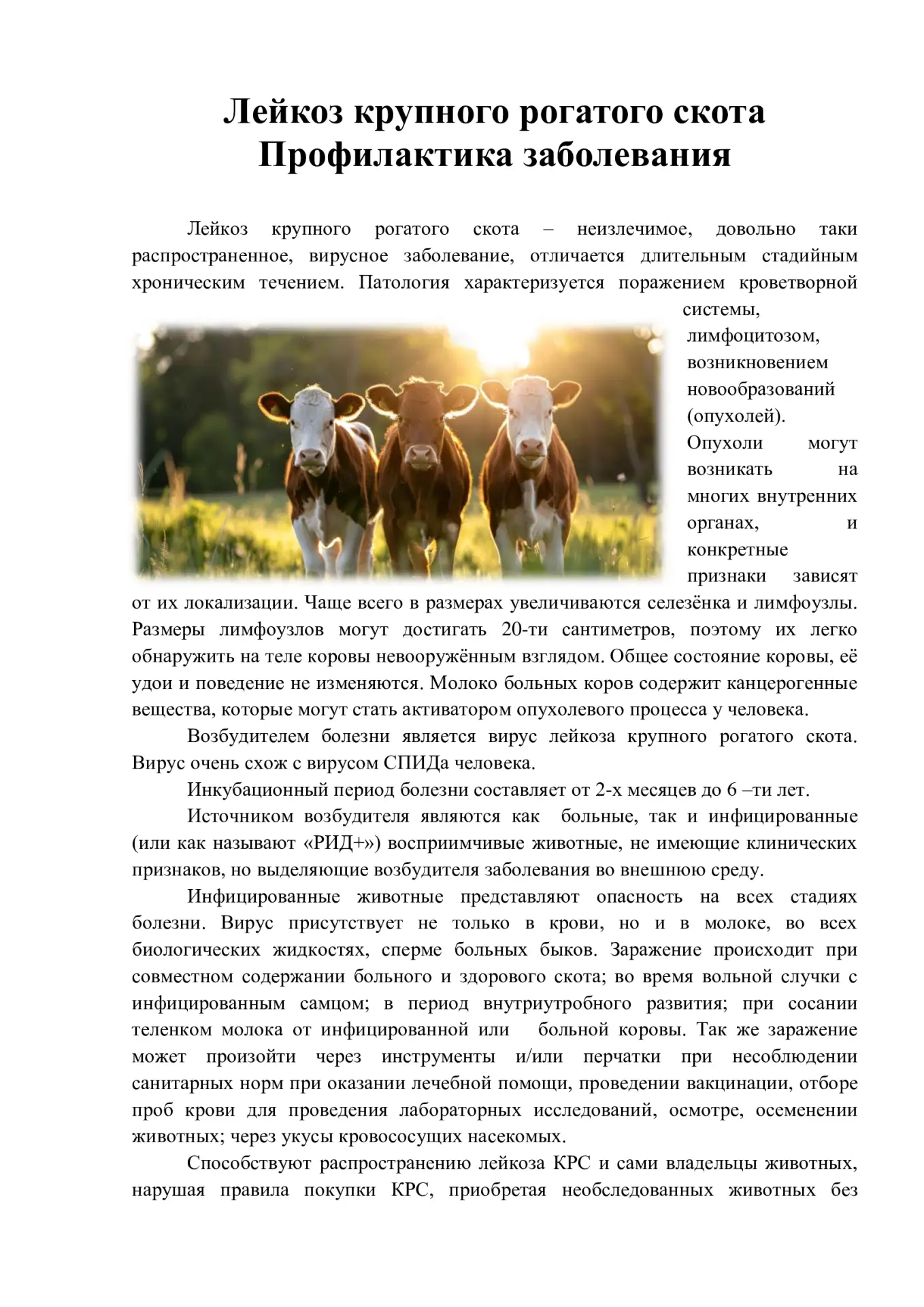 Медиа публикации