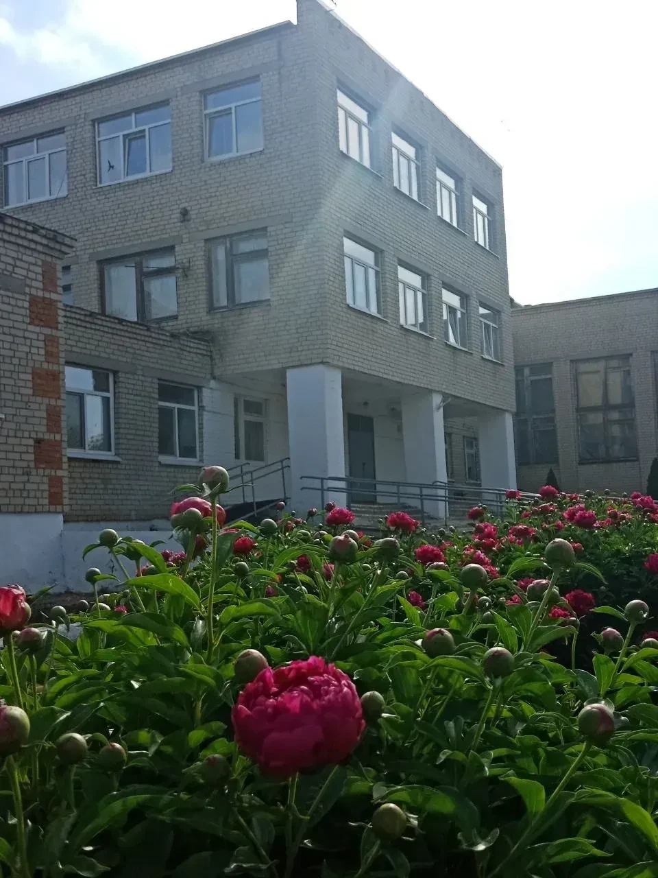 МОУ "СОШ п. Придорожный"