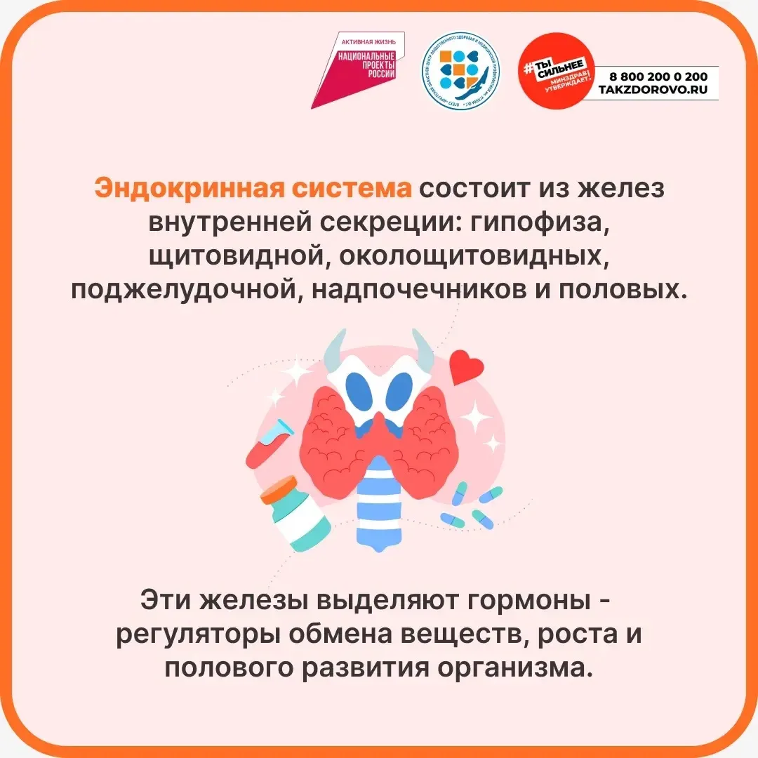 Памятки по профилактике заболеваний и поддержке здорового образа жизни, разработанные М...