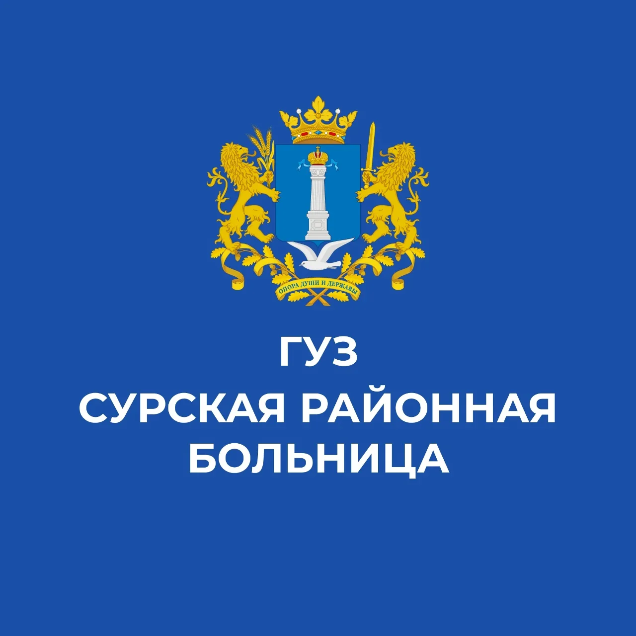 ГУЗ "Сурская РБ"