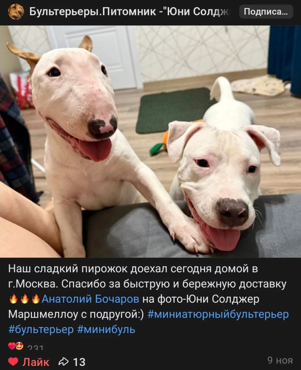 Медиа публикации