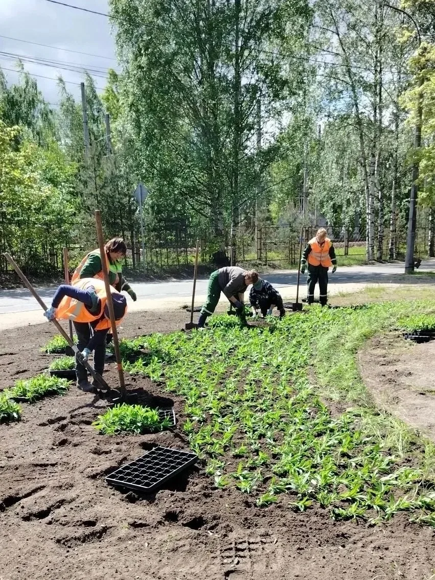 В Комарово на улице Привокзальной появится цветник.