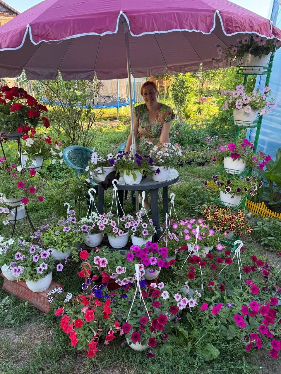 Не нарадуюсь своей петуньке 😍 

Хвастаюсь еще зонтом 😎 

Дивчины подарили ко дню рождения 🌸 

Теп