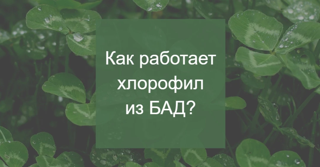 ХЛОРОФИЛЛ: ЗАЧЕМ ЕГО ПЬЮТ?

Хлорофилл многим кажется красивым маркетингом по типу «выпить зелёного
