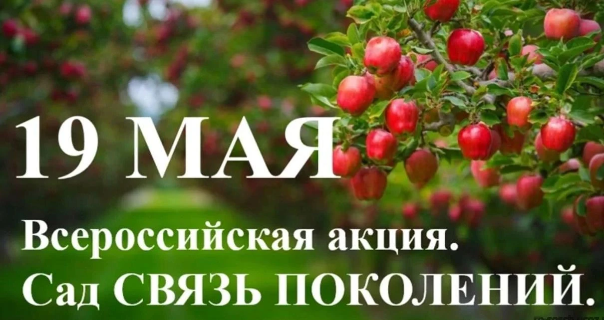 Фондом содействия реализации социальных проектов «БЛАГОВЕСТ» (ИНН 9705166403) 19 мая 2026 года  реал