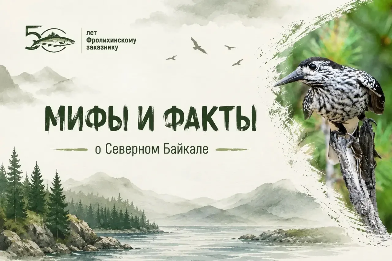 Совсем скоро Фролихинский заказник отметит важную дату – 50-летний юбилей! 🎉
За полвека здесь сохра