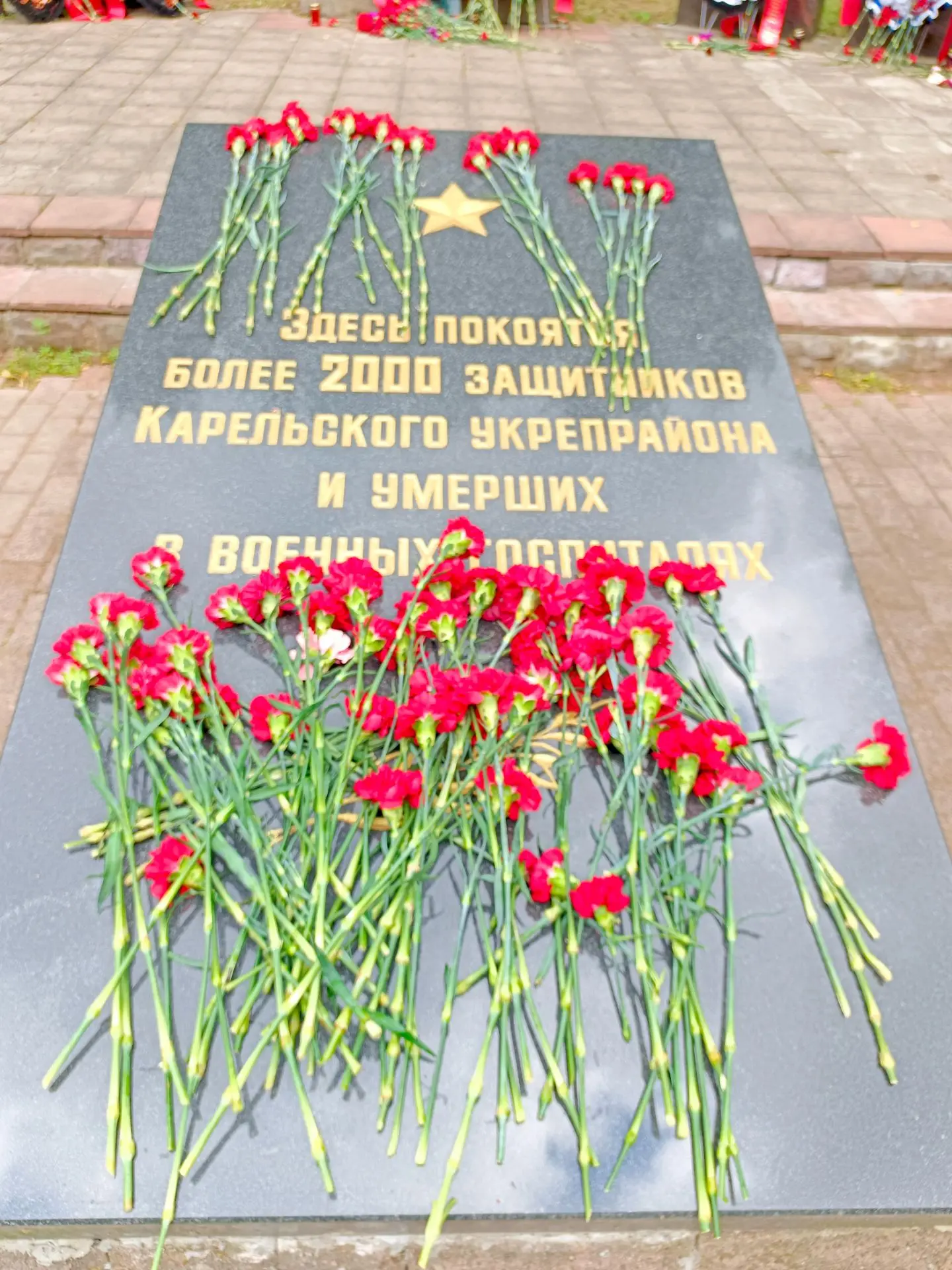 Акция «Гвоздика памяти»: дань уважения героям

22 июня в ДОЛ «Семь столиц» прошла памятная акция «Гв