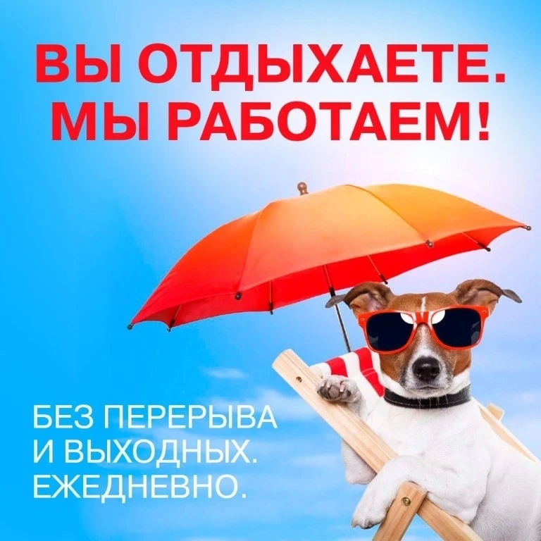 Приезжайте в гости выбирать растюшки.