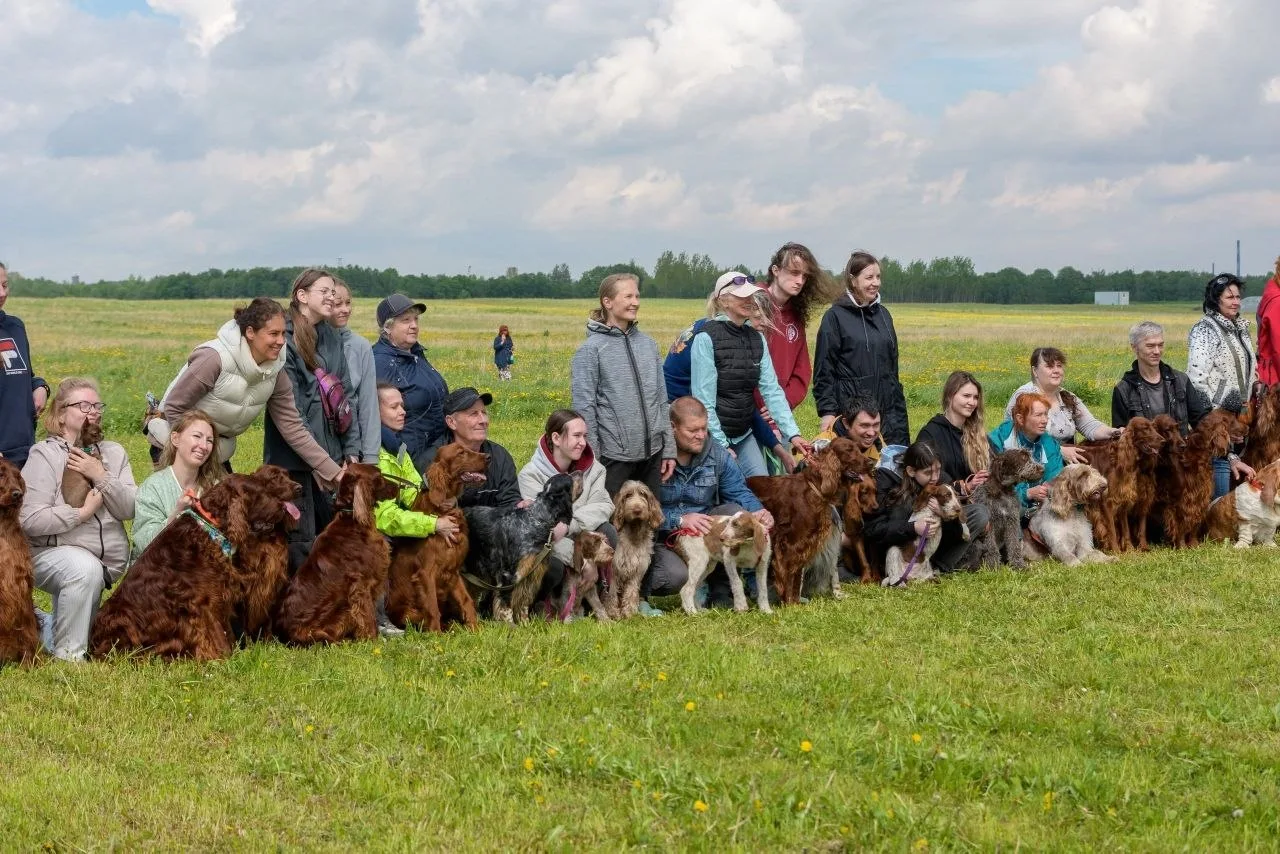 Питер, 24 мая, хвосты и улыбки 🐾 

В воскресенье в Северной столице было жарко даже без солнца. Меж
