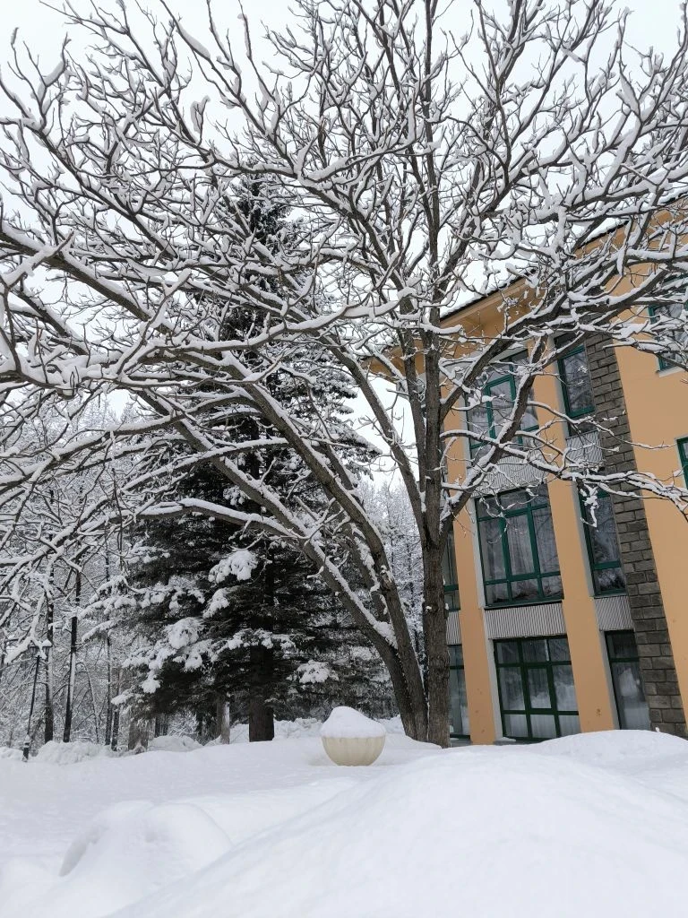 ✨ Доброе утро, друзья!
Пусть новый день начнётся спокойно и уверенно. Утро — это время, когда можно 