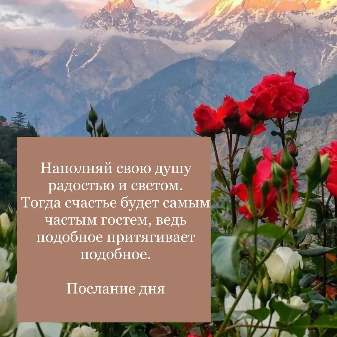 Послание дня