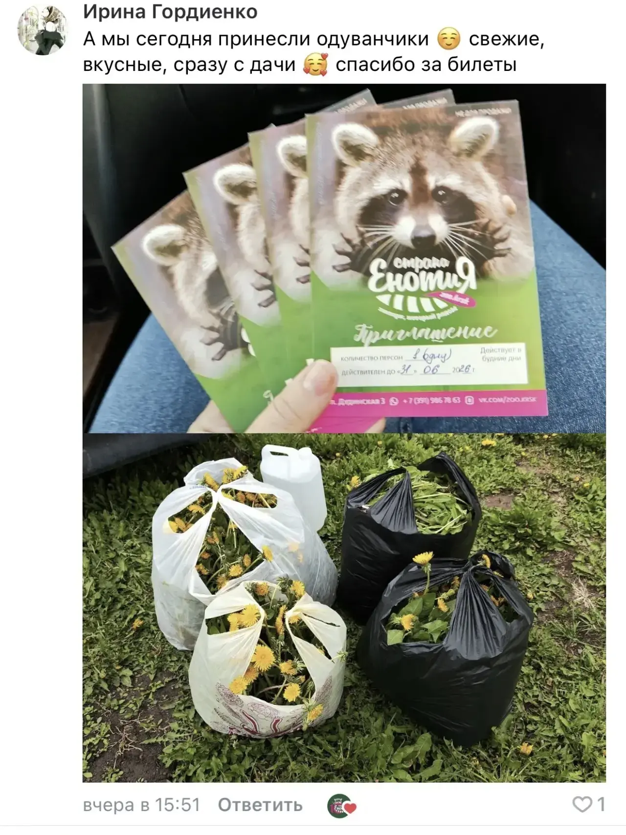 У нас одуванчиковое безумие!

🌼 Спасибо вам, наши невероятные подписчики - вы завалили нас жёлтыми 