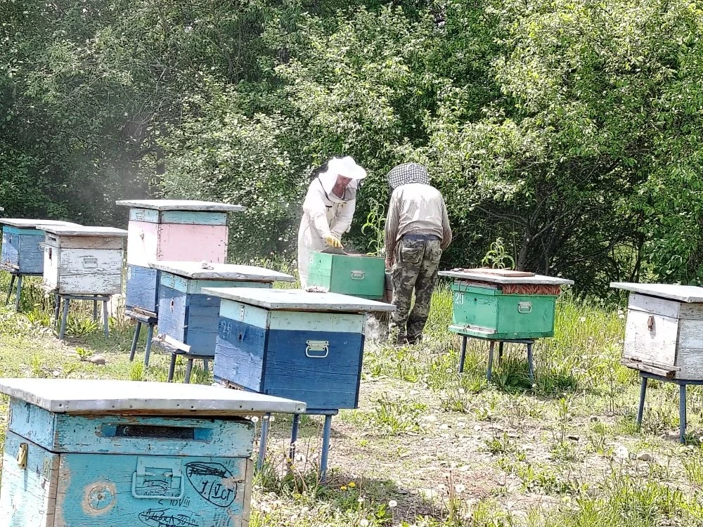 .

🐝 Природа, труд и забота: как наша община занимается пчеловодством! 🌿

Наша община всегда стрем