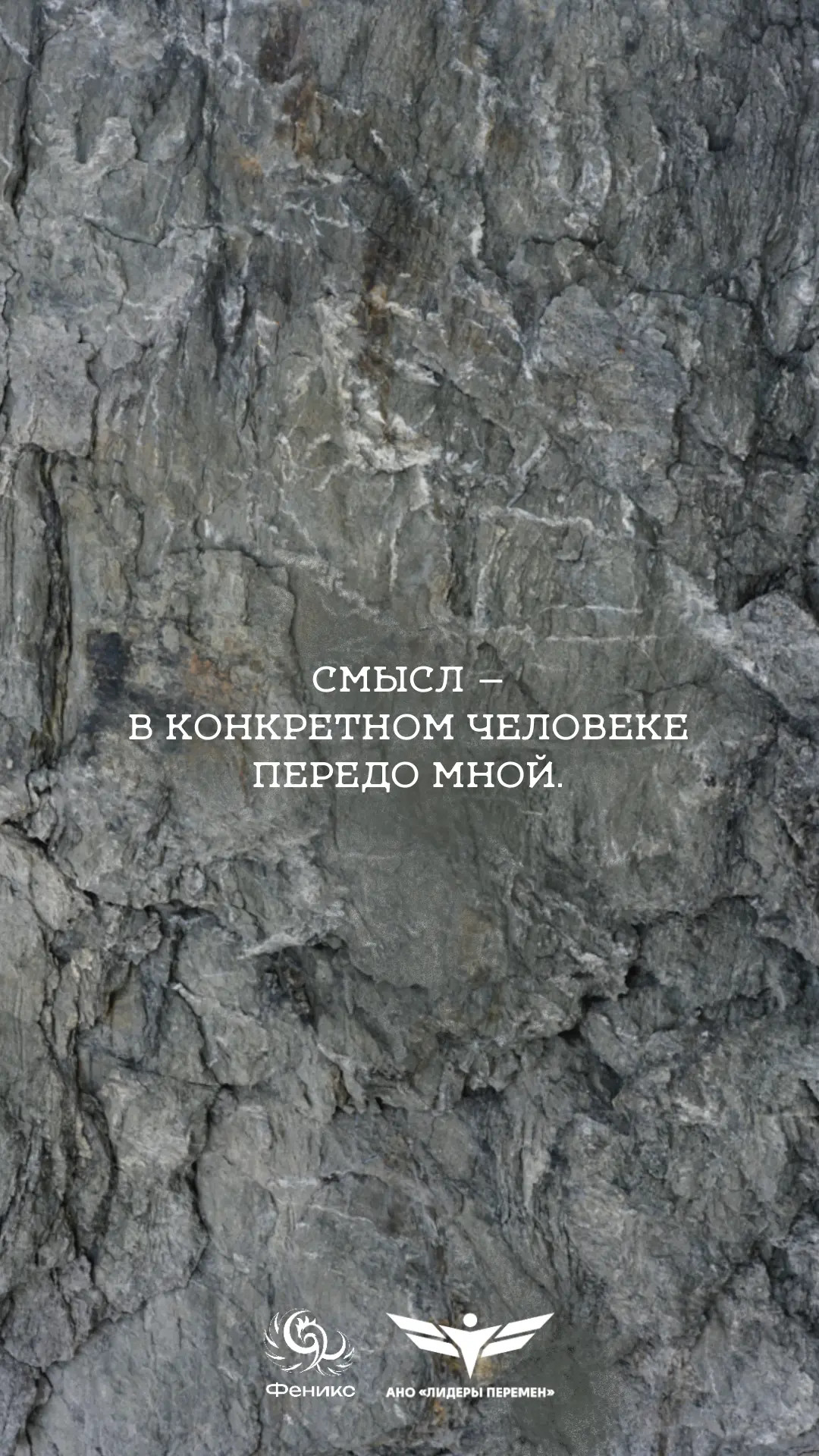Ловите летнее настроение! 🌿☀
Делитесь с коллегами и друзьями!

Наши студенты-психологи из МГППУ сде