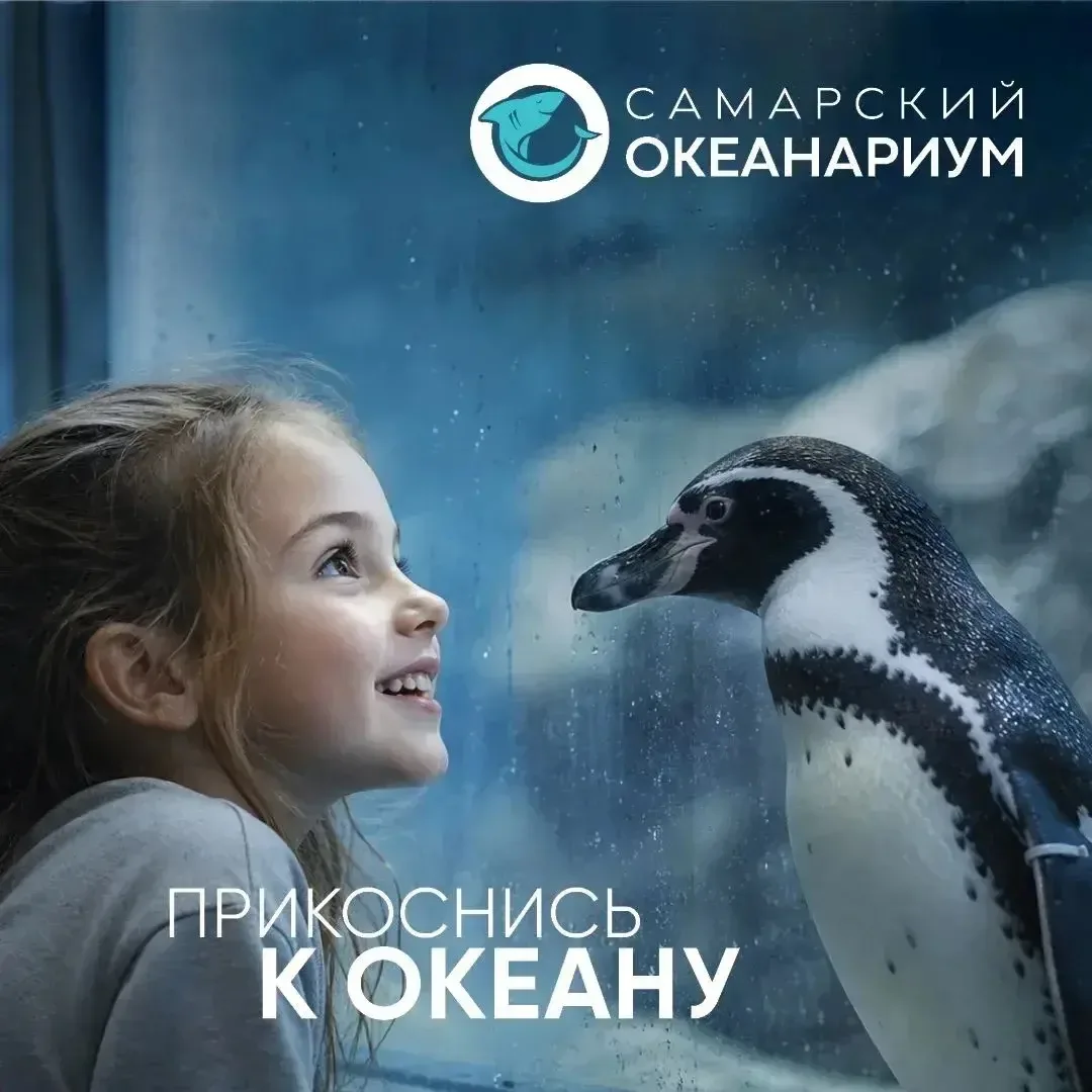 💙 С ДНЁМ ЗАЩИТЫ ДЕТЕЙ! 🌊

Дети — это самые искренние эмоции, самые громкие «ВАУ» и самые честные у