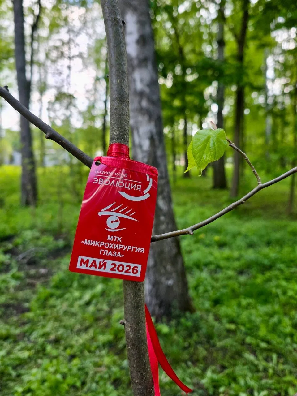🌳12 мая в Центральном парке им. Белоусова прошла экологическая акция. Калужская клиника МТК «Микрох