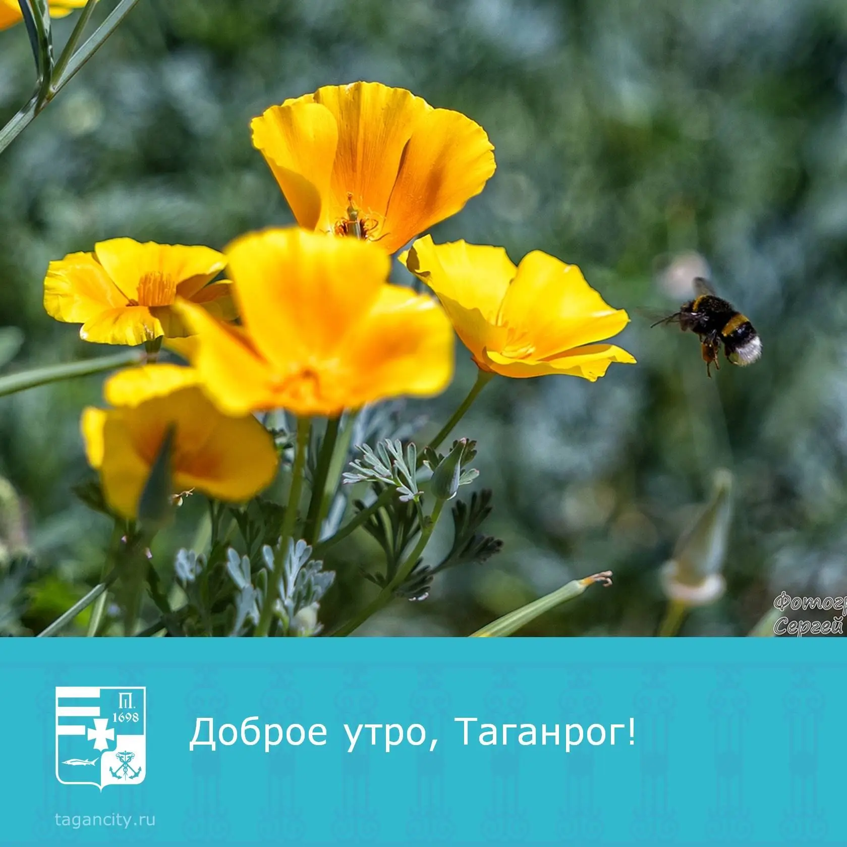 Доброе утро и продуктивного рабочего дня! 🙂⁣
Фото: Сергей Плишенко.