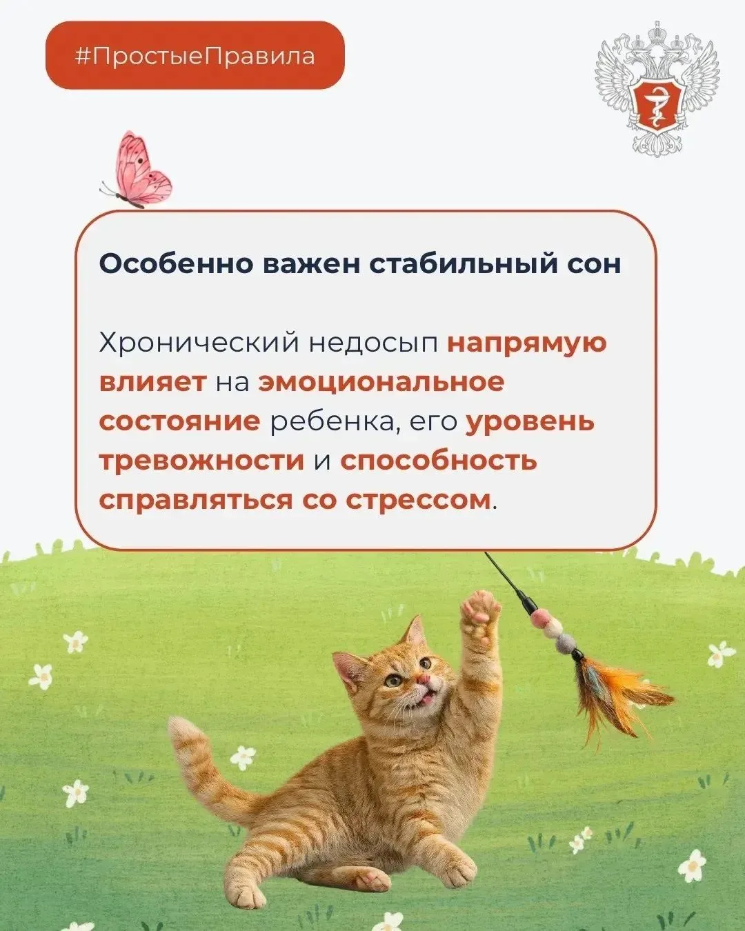 ☀️ #ПростыеПравила: Как правильно организовать отдых ребенка?

Об этом рассказала медицинский психол