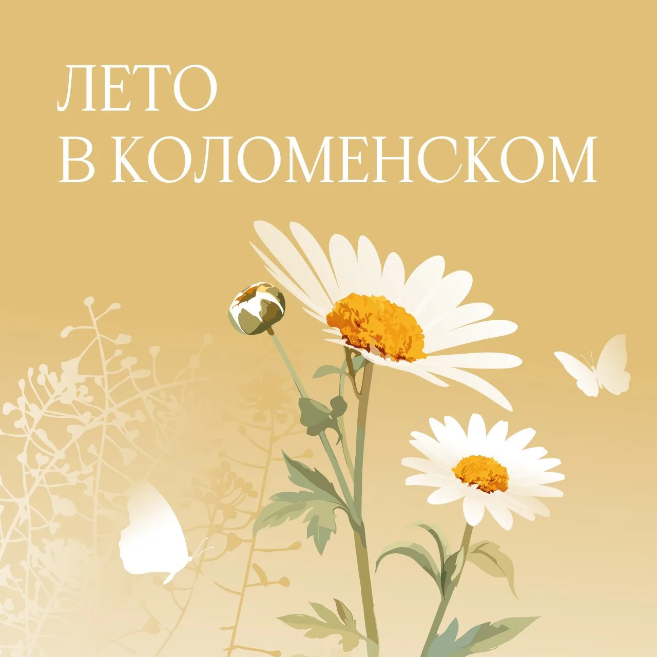 Лето в Коломенском: время приключений и открытий! ☀️

Мы собрали все самое интересное для семейного 