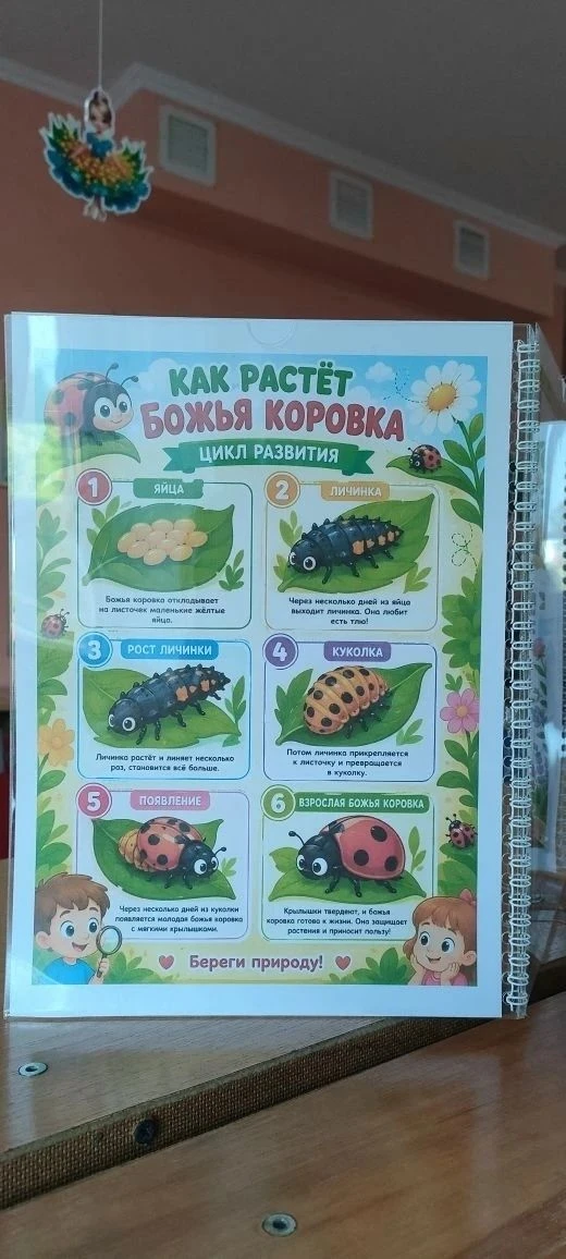 Погрузитесь в мир насекомых вместе с нами! День божьей коровки в группе № 2 "Шустрики" был настоящим