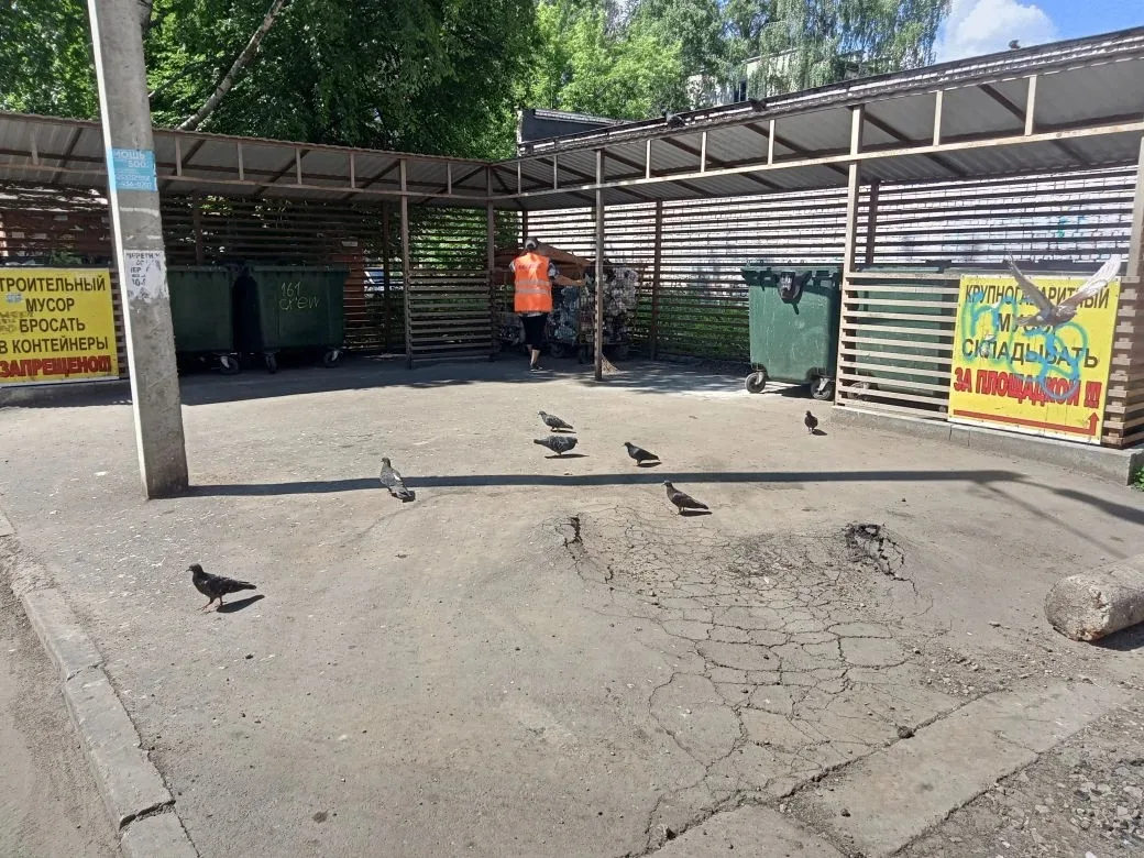 Уборка придомовой территории и контейнерной площадки по адресам:
📍Проспект Победы 132, Строителей 4