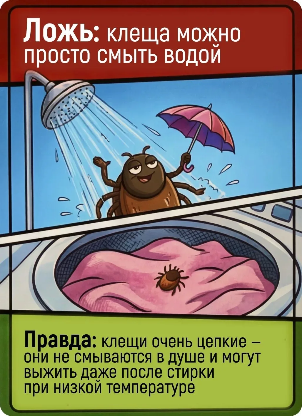 ❗❗❗Развеем мифы о клещах и убережем себя

С приходом тепла просыпается природа, а вместе с ней — кле