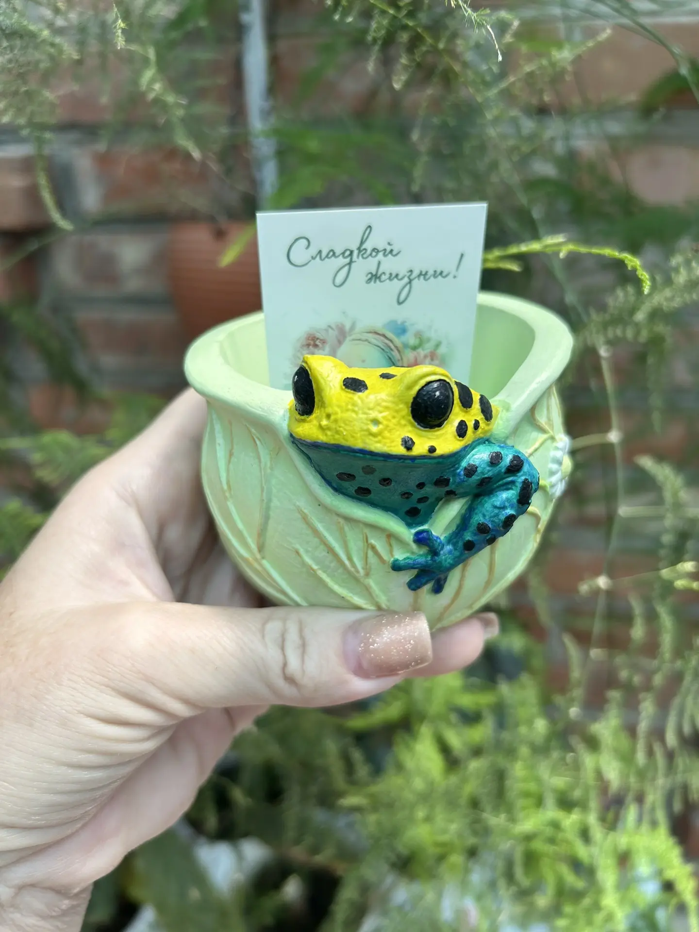 Сегодня получила посылочку из г. Новосибирск от цветочницы Марины 🥰 которая ещё и кашпошечки сама и