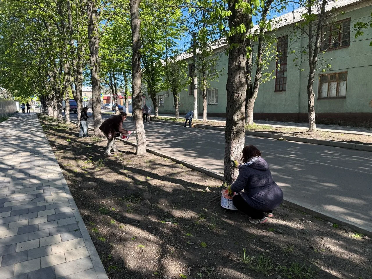 В рамках Всероссийского субботника наш дружный коллектив ГБДОУ Детский сад №4 "Теремок" внес свой вк