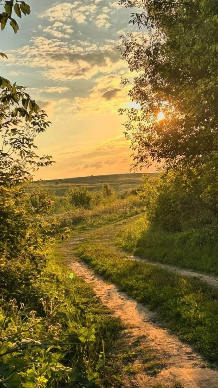 Нужно ли летние каникулы посвящать урокам?

Летние каникулы в разгаре, дети и родители радуются возм